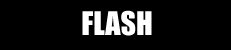 Large - Flash Video (Plays/Streams in Web Browser)